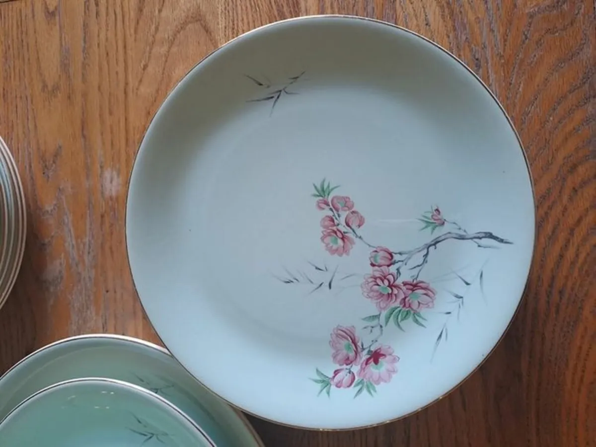 16 piece Alfred Meakin dinnerset - Image 3