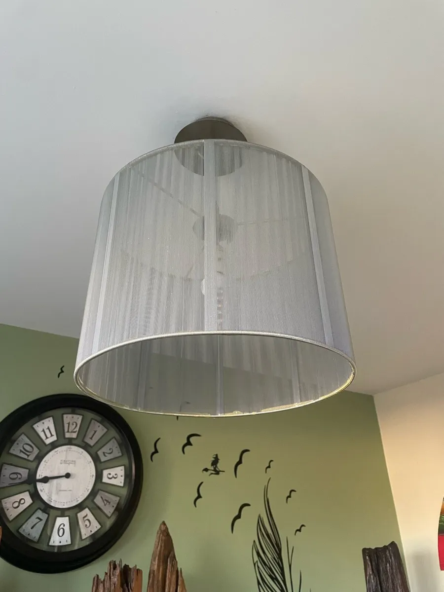 Ceiling table lamp shade - Image 1