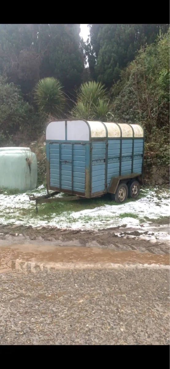 Sheep trailer with decks