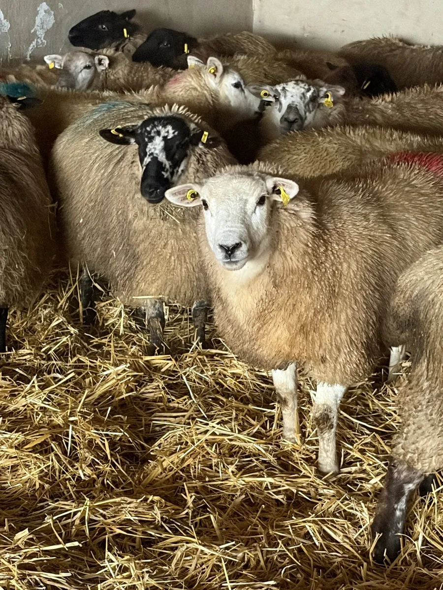 Cracking replacements - Image 1