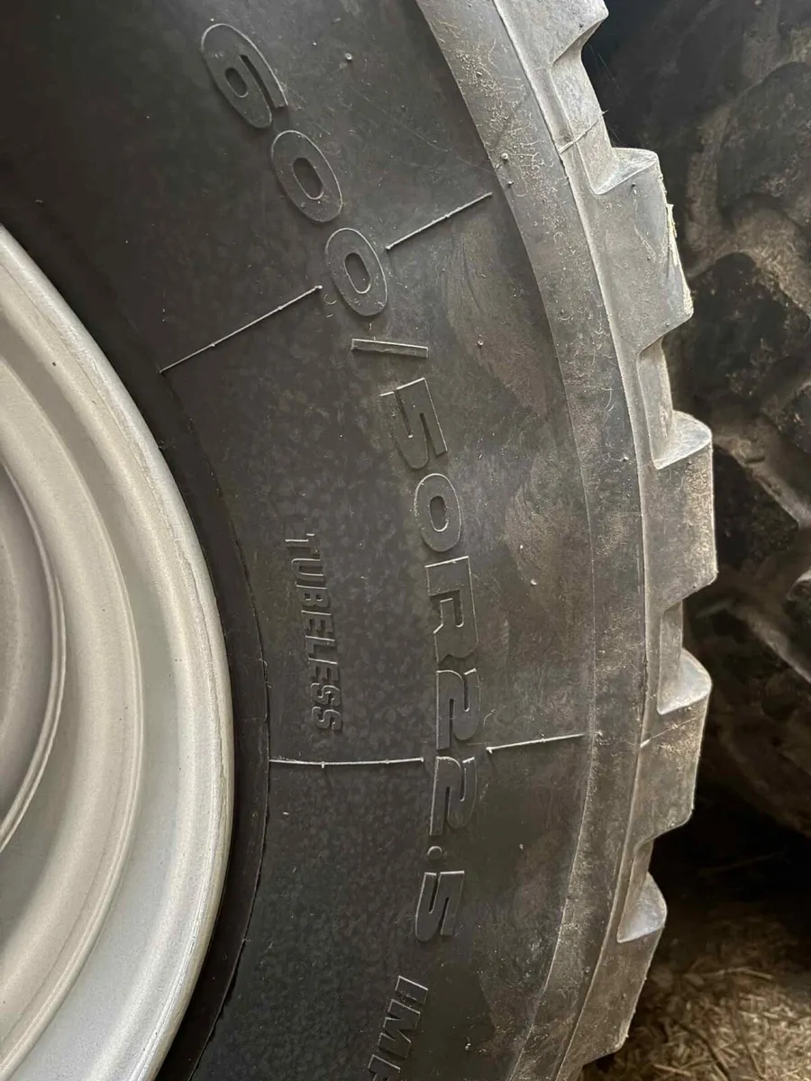 Donnelly silage trailer - Image 4