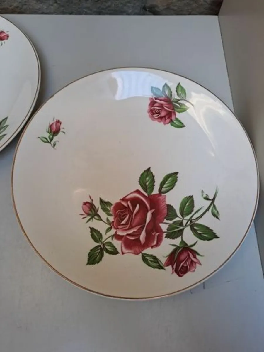 J and G Meakin rose Plates - Image 3