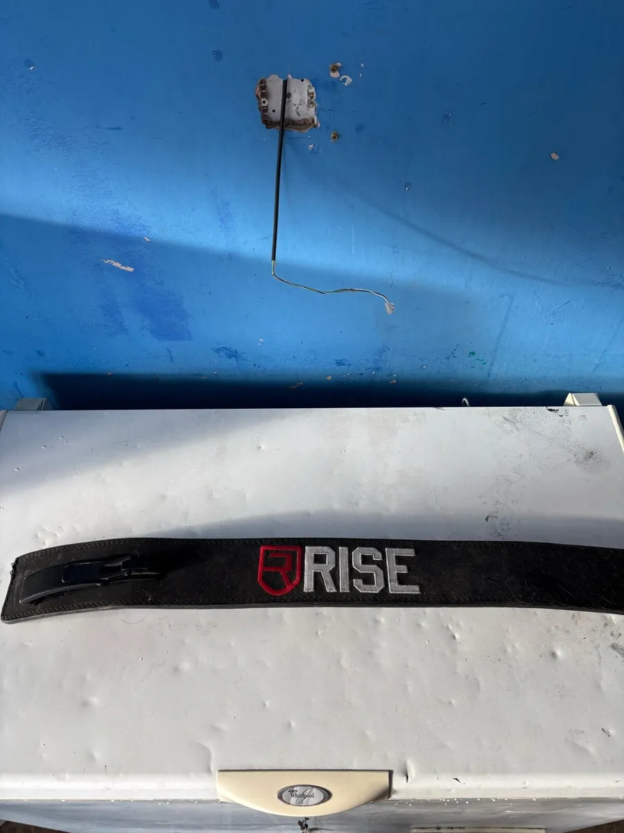 Rise Lifting Belt - Image 1