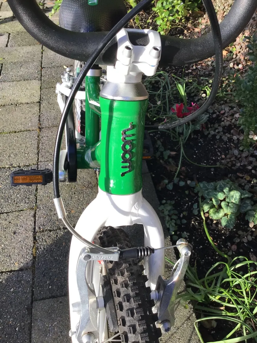 Magnificent Beginners Bicycle - Image 2