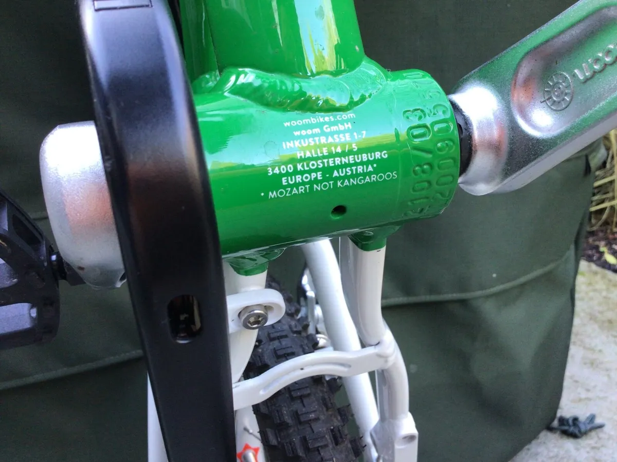 Magnificent Beginners Bicycle - Image 3