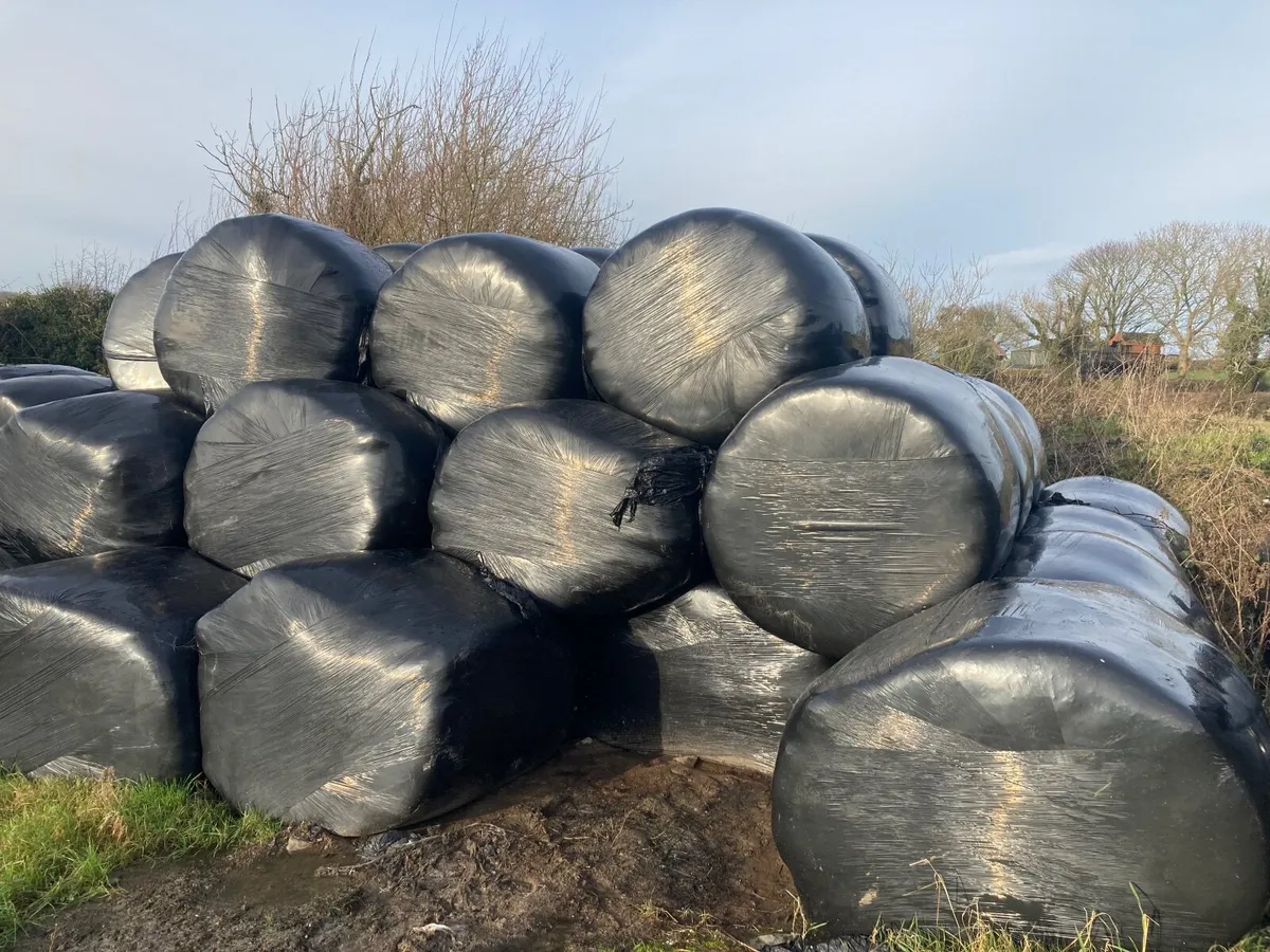 Round bale Silage
