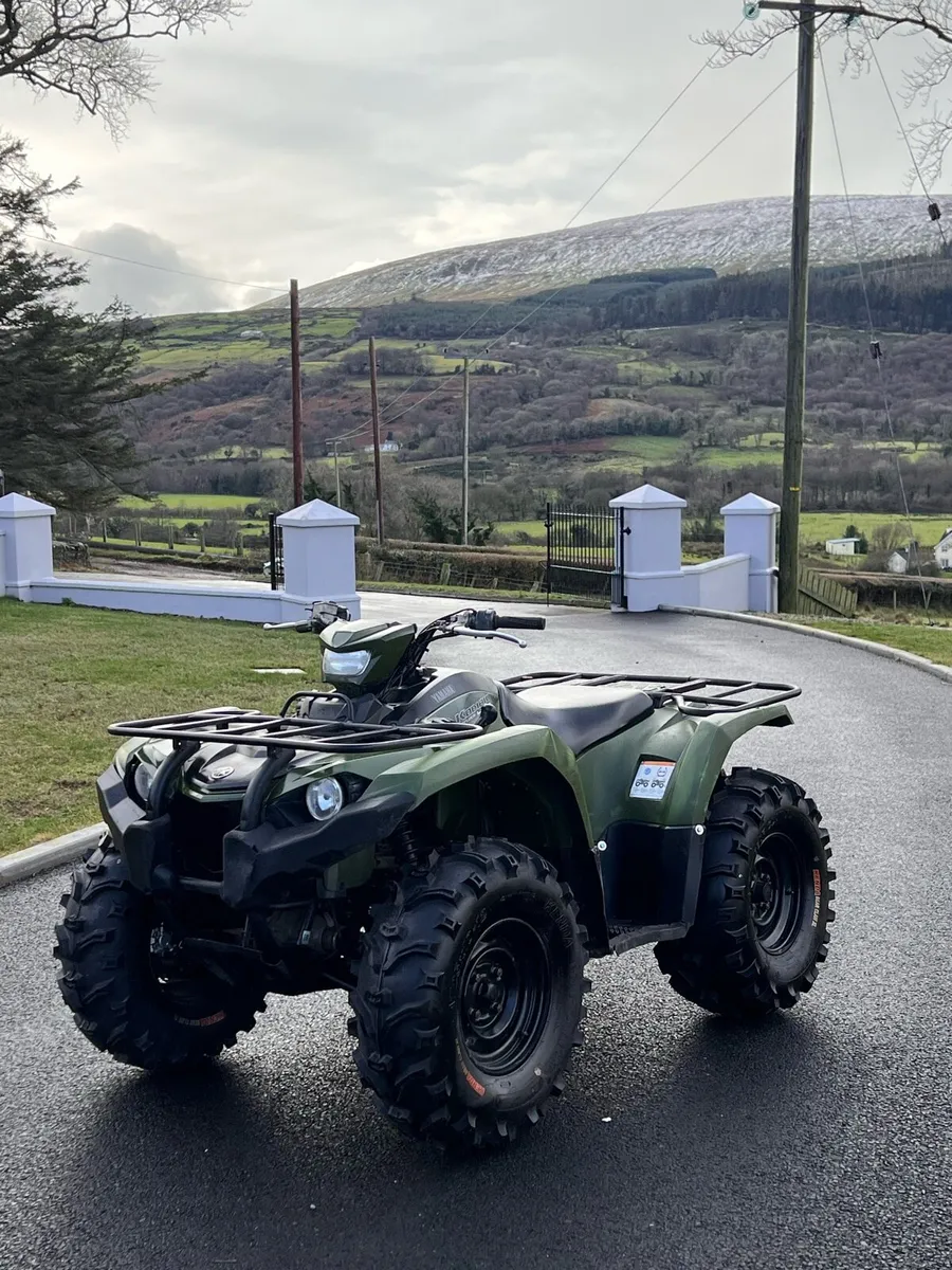 2022 Yamaha Kodiack 450 - Image 1