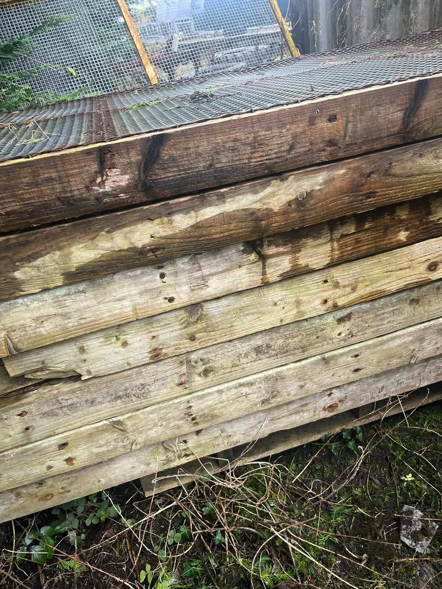 Sheep slats - Image 2