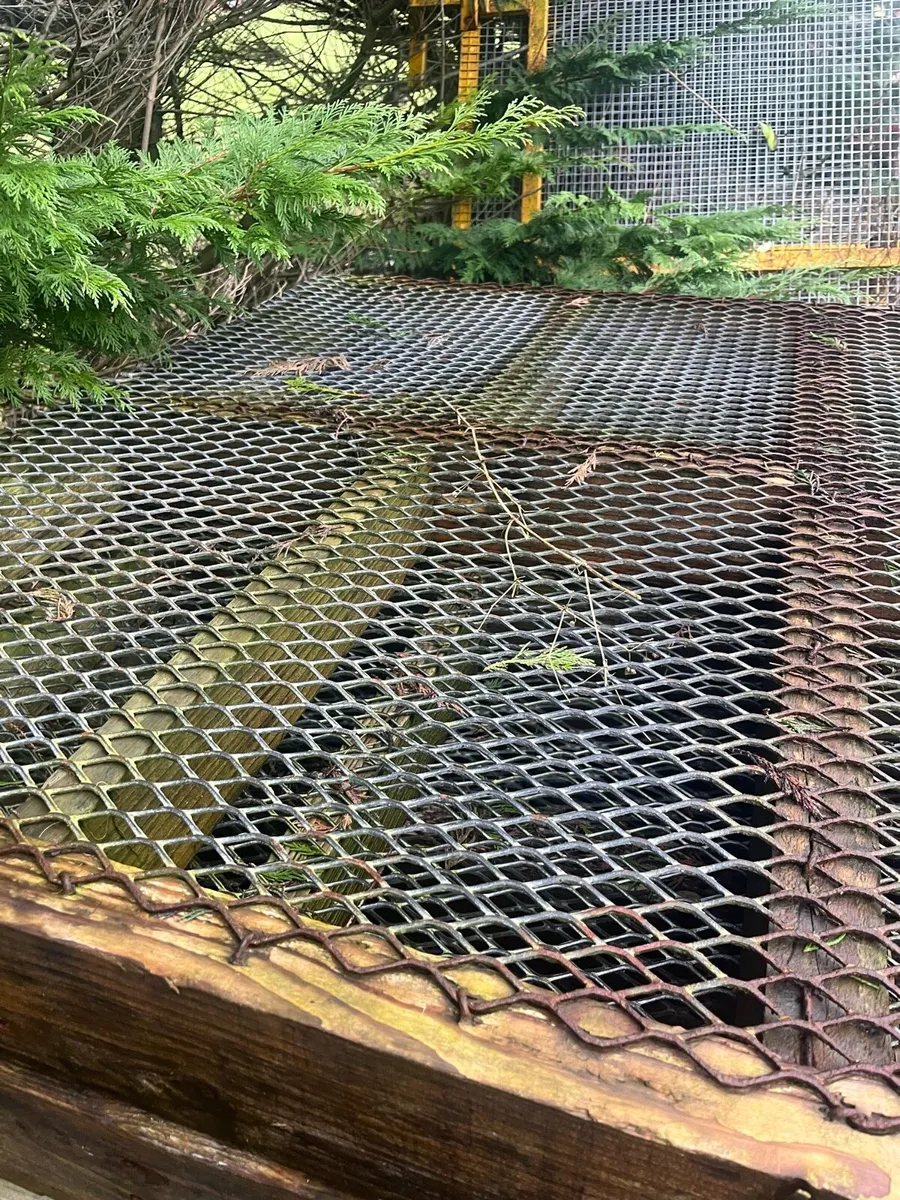 Sheep slats - Image 4