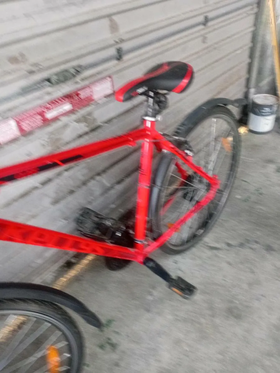 Kelly bike - Image 1