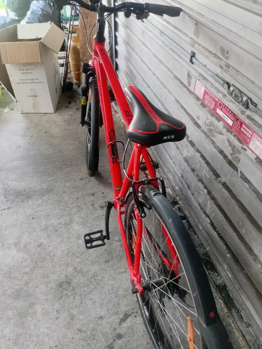 Kelly bike - Image 3