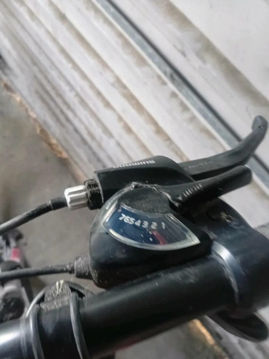 Kelly bike - Image 4