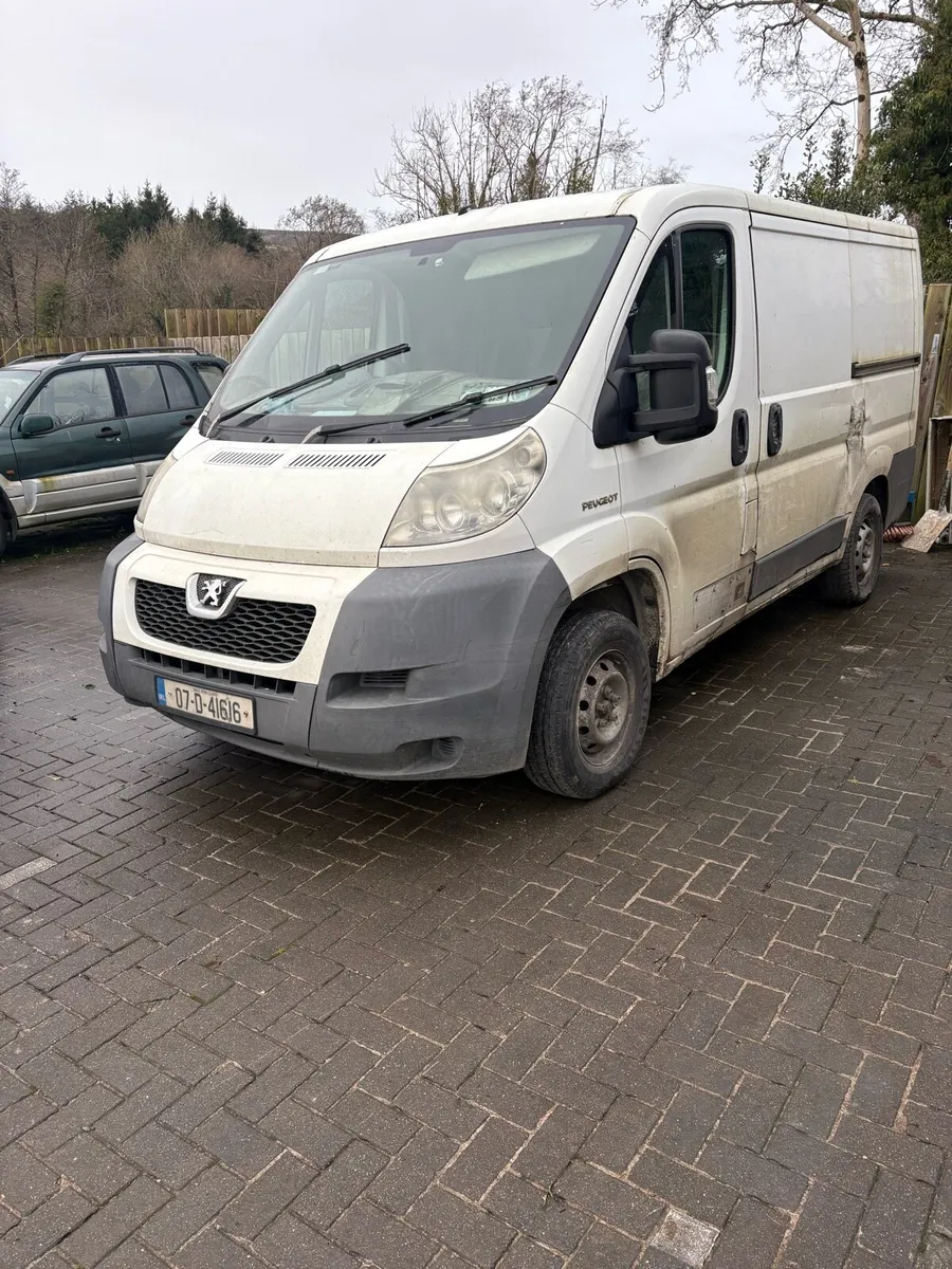 Pougeot boxer - Image 1