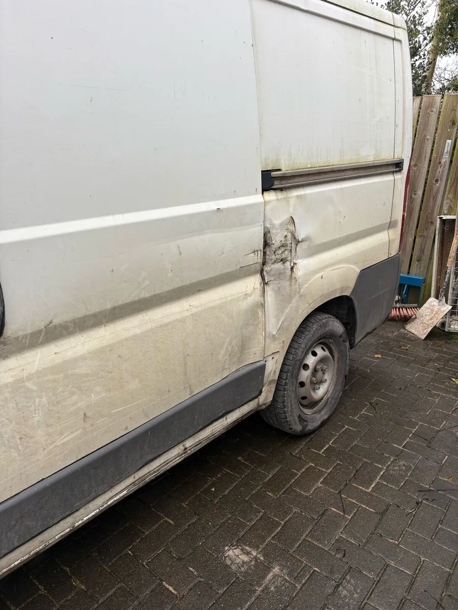 Pougeot boxer - Image 2