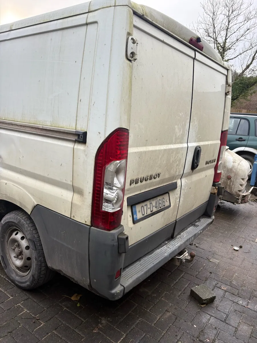 Pougeot boxer - Image 3