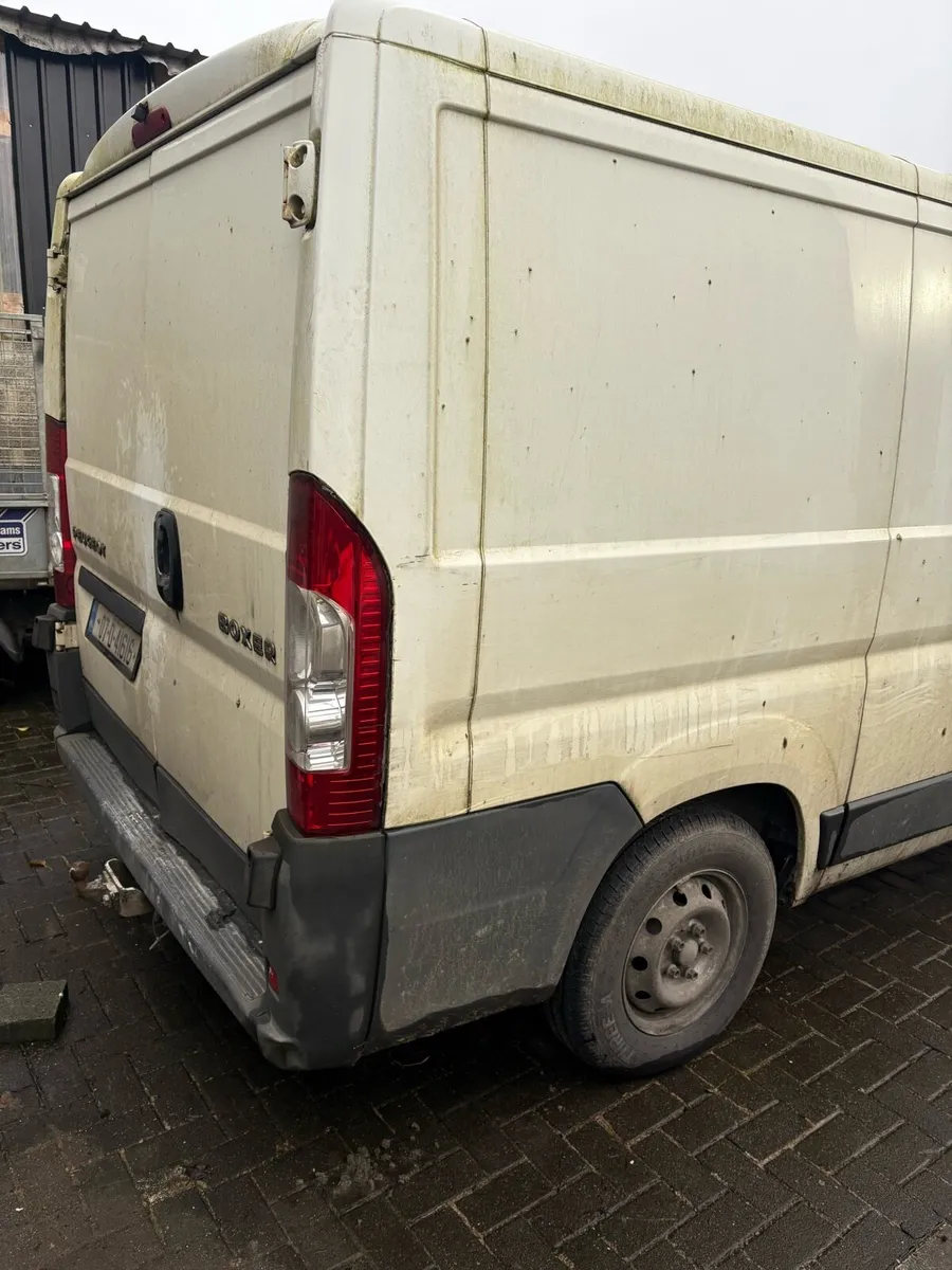 Pougeot boxer - Image 4