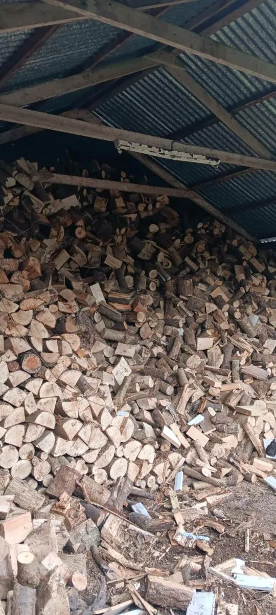 Seasoned Firewood - Image 3