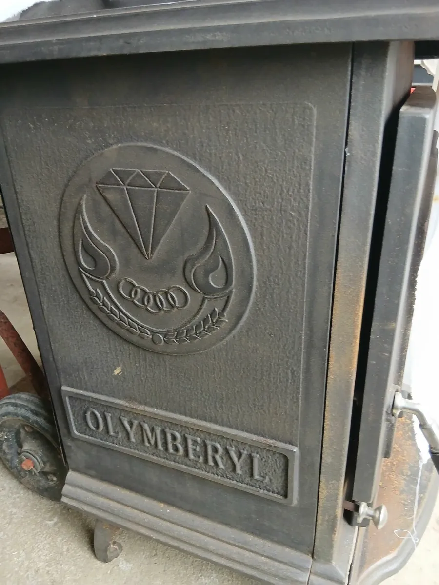 Multi fuel stove - Image 4