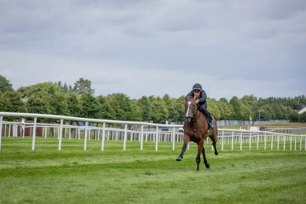 Breaking / Pre- Training/ Rehabilitation - Image 1