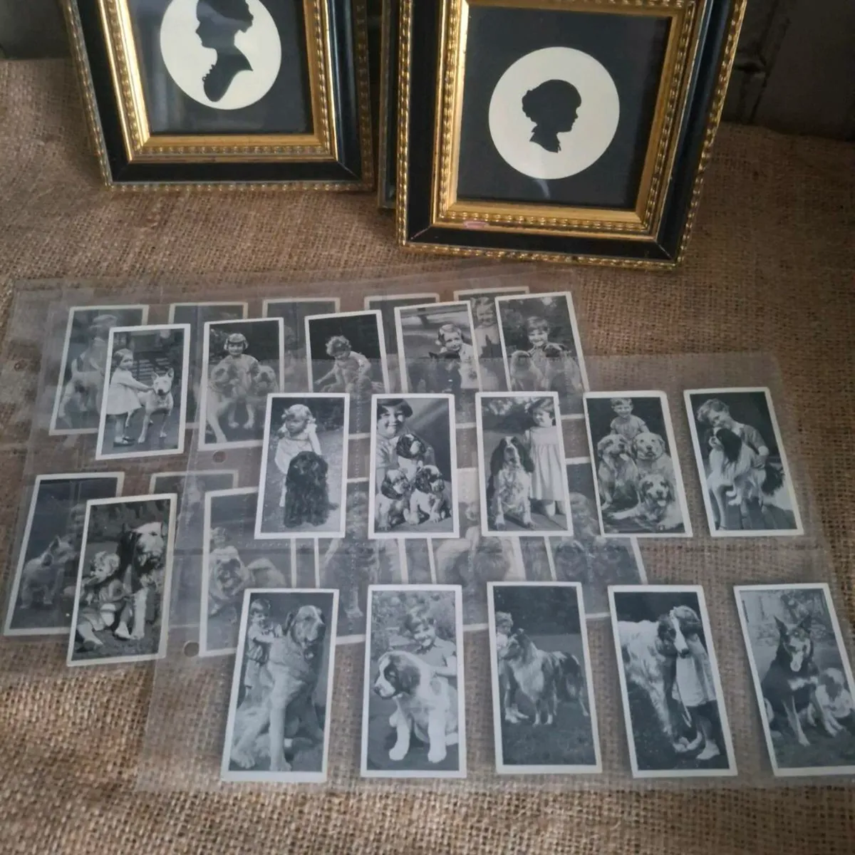 Dogs & Friend Cigarette Cards - Image 4