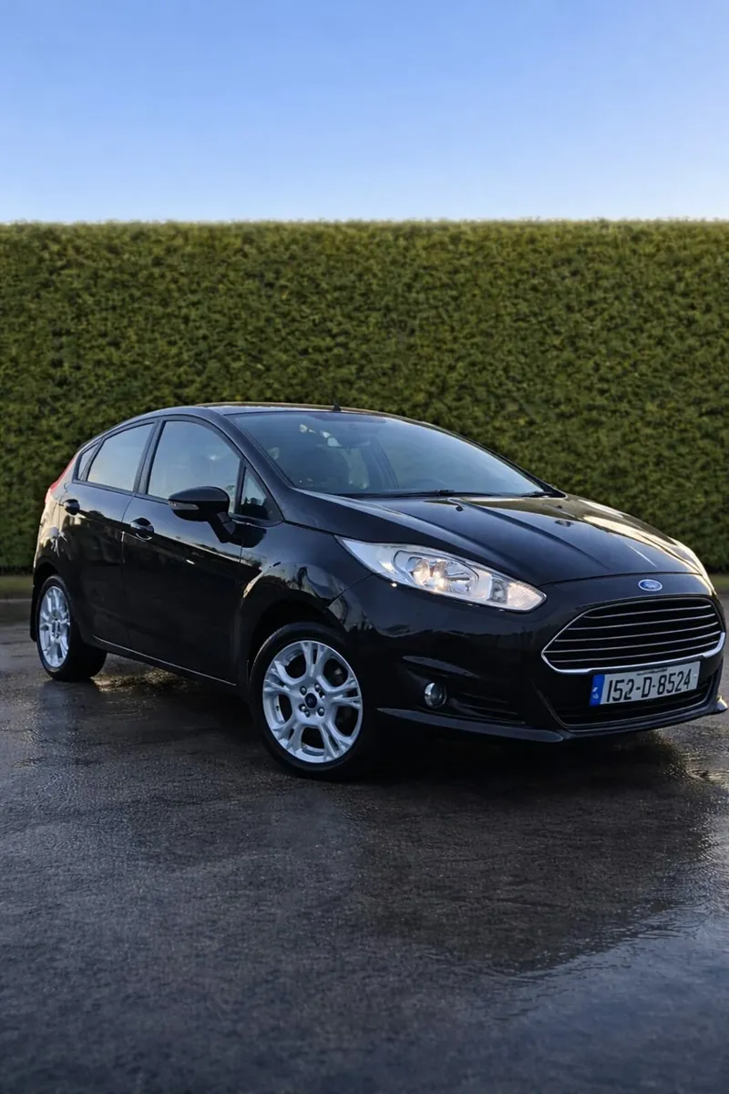 Fiesta 1.25 - Image 1