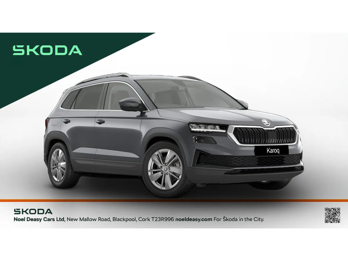 Skoda Karoq Selection - Image 1
