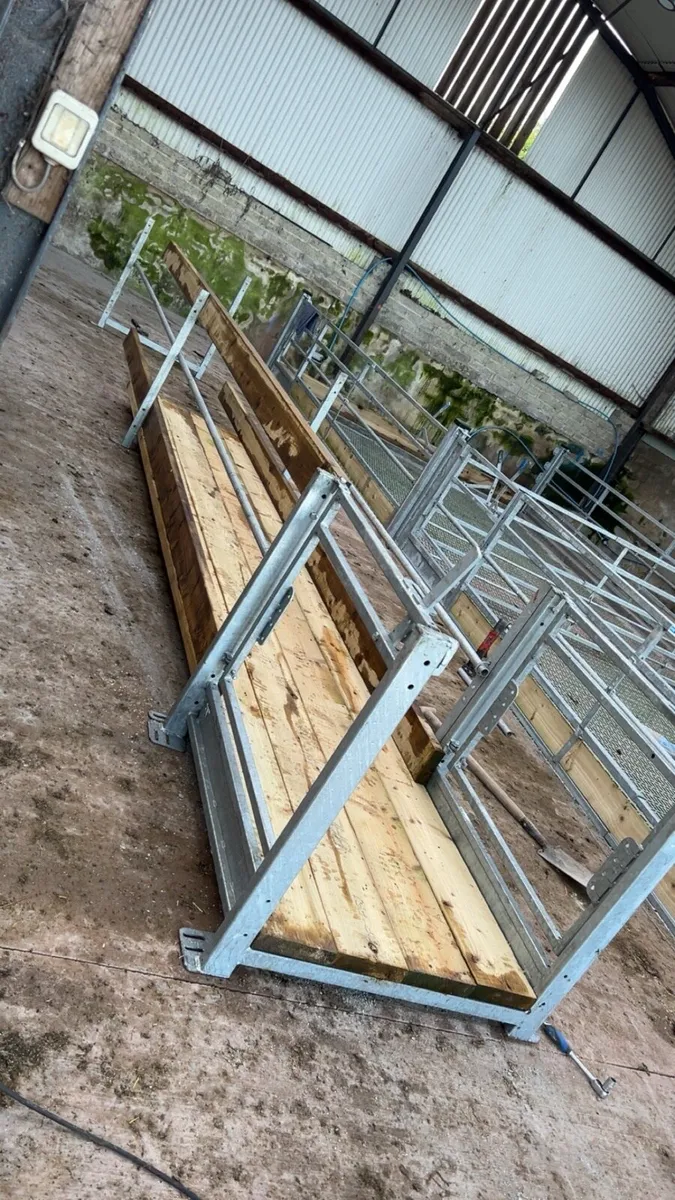 Walk through sheep feeder - Image 3