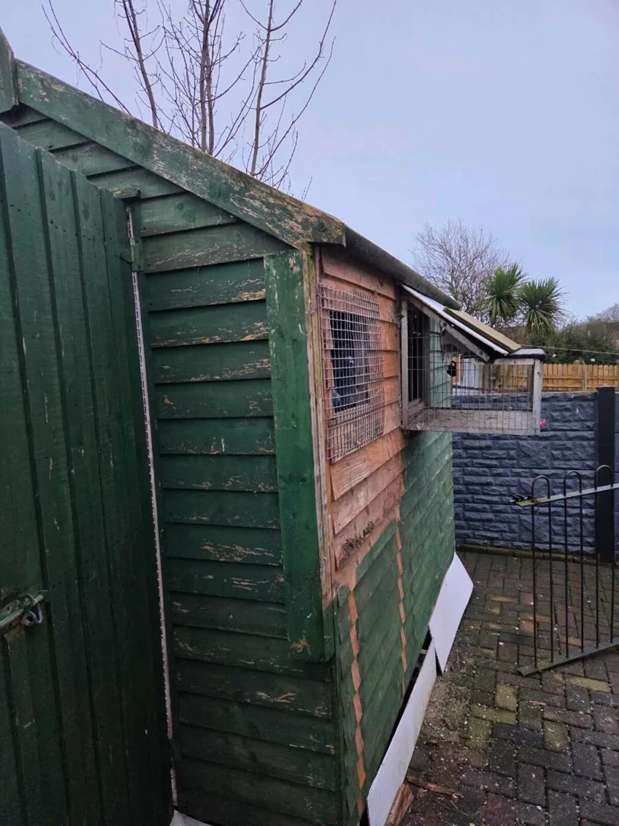 Pigeon loft - Image 3