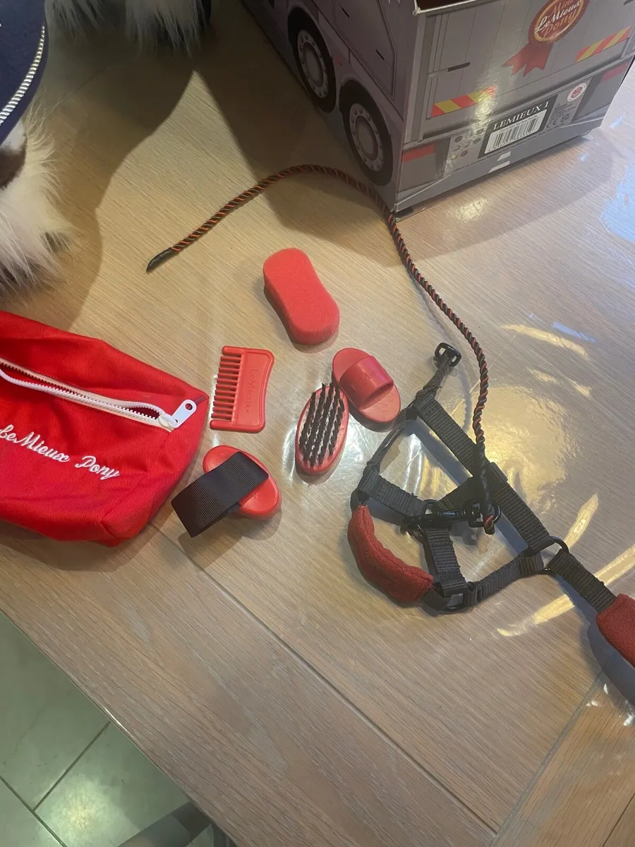 Mini Lemieux toy pony - Dazzle - Image 4