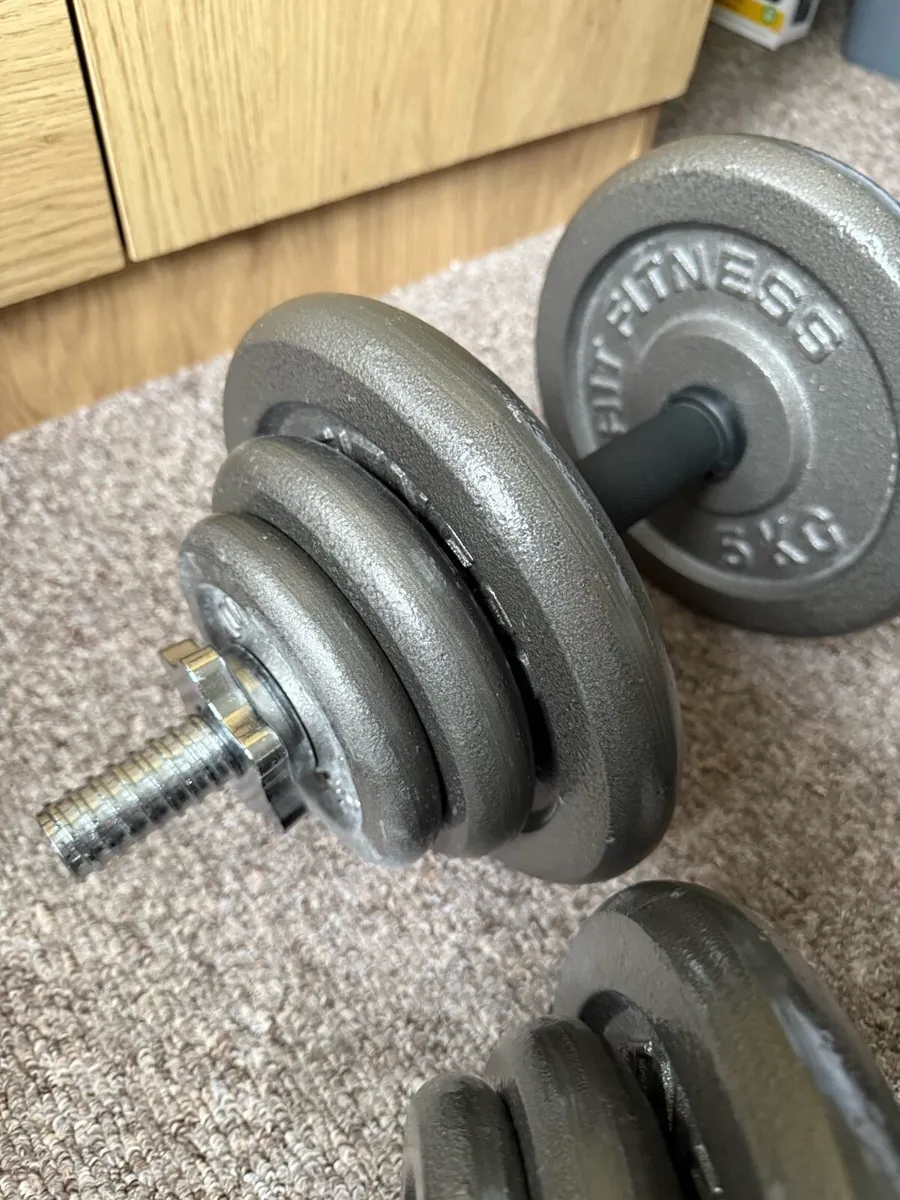 Dumbbells 20kg - Image 1