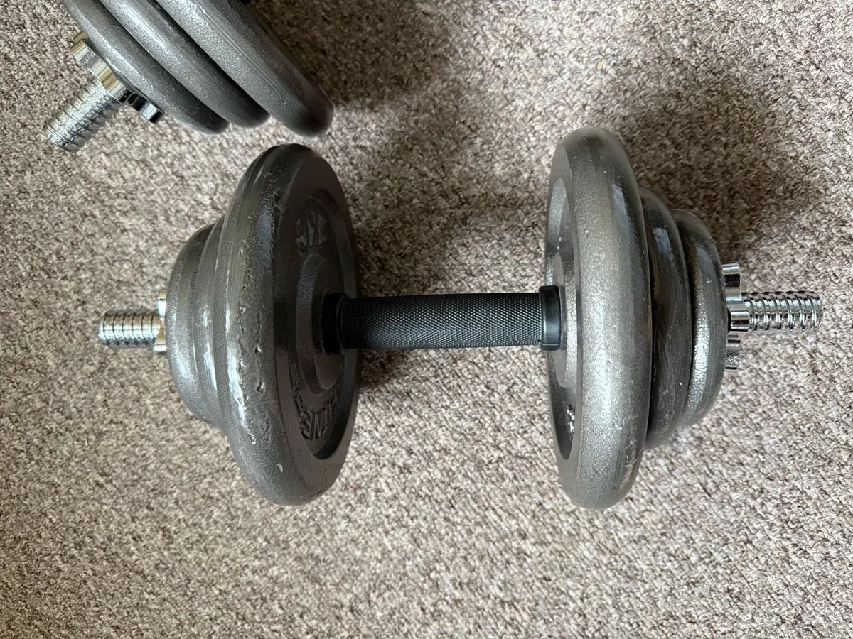 Dumbbells 20kg - Image 2