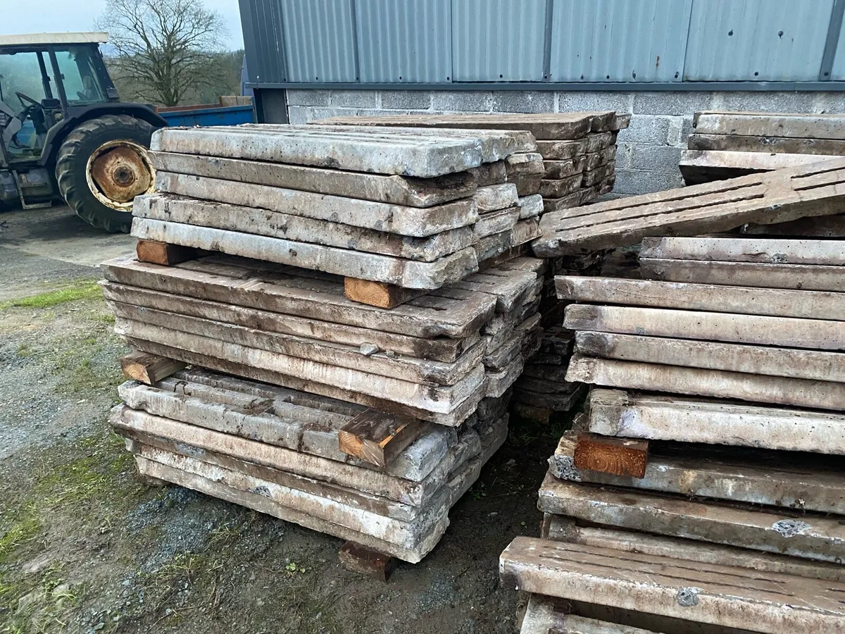 Calves sheep Pig slats - Image 4