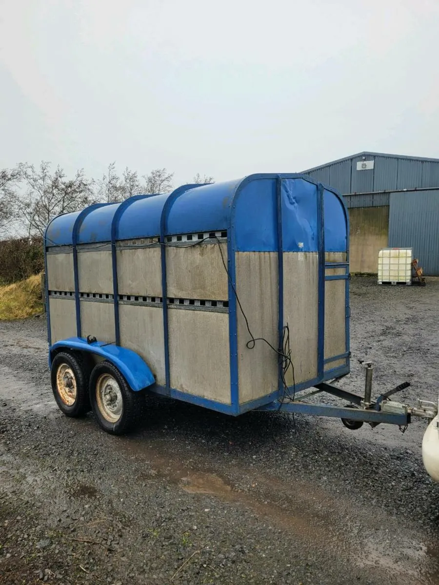 Cattle/sheep trailer - Image 1