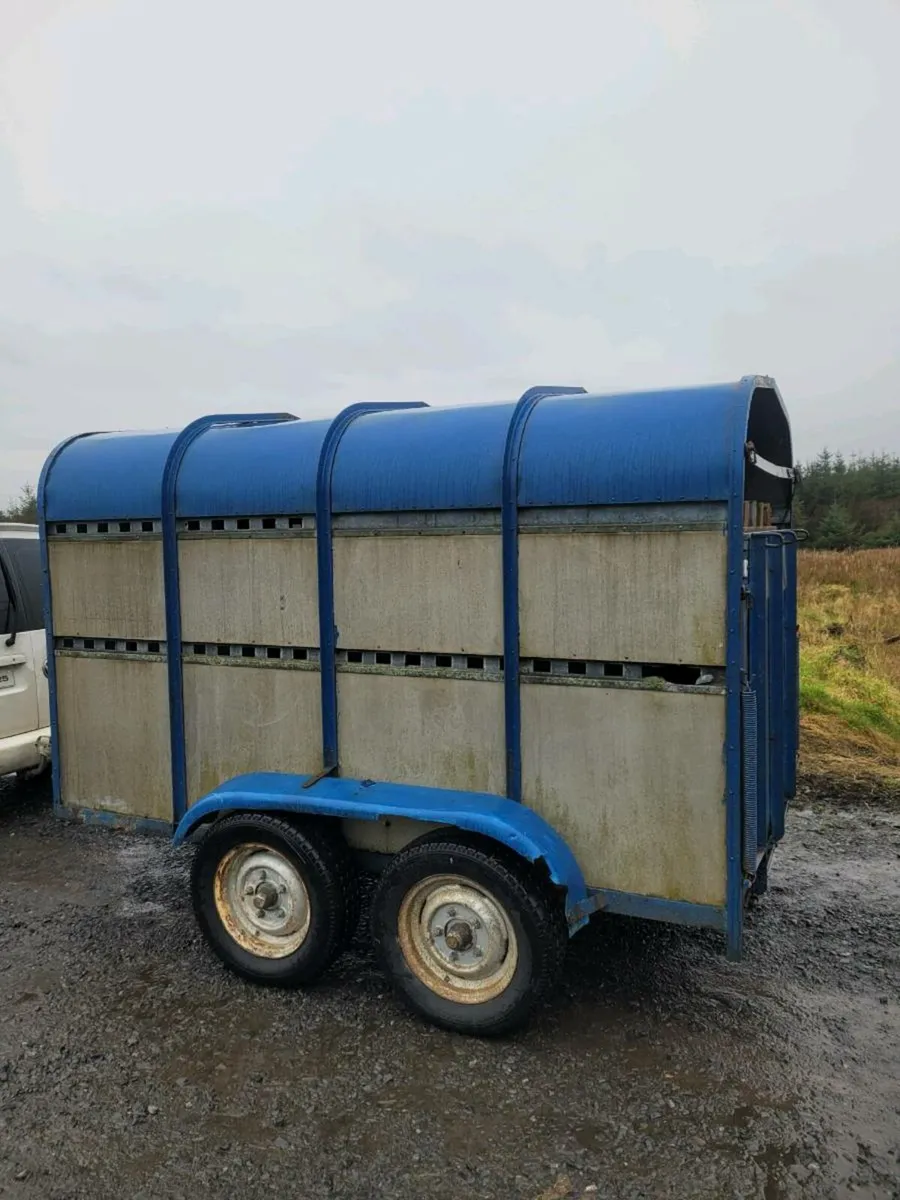 Cattle/sheep trailer - Image 3