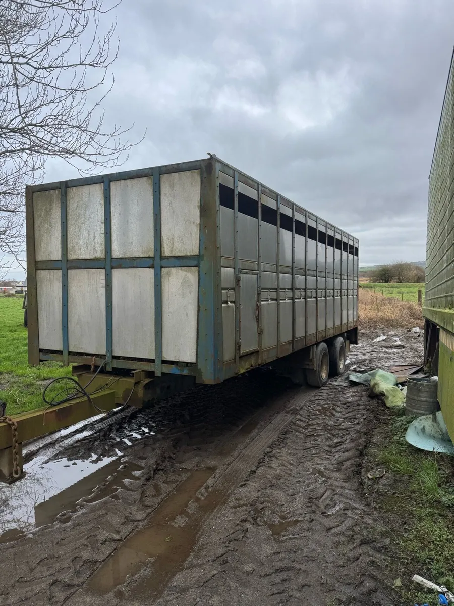 Cattle trailer - Image 2