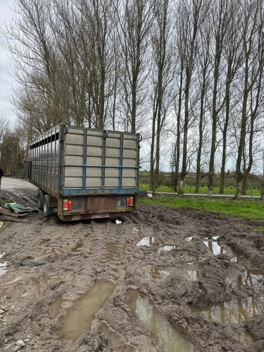 Cattle trailer - Image 3