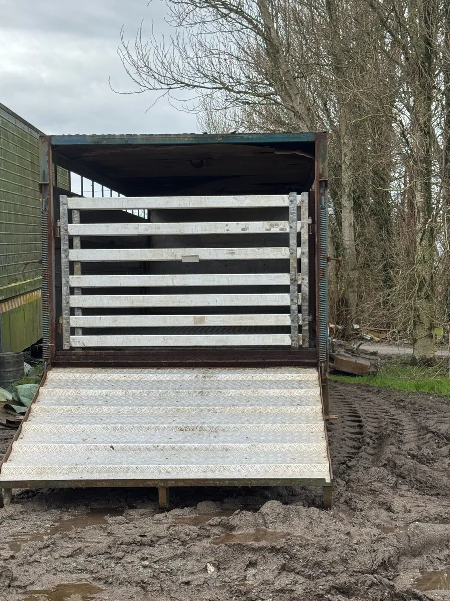 Cattle trailer - Image 4