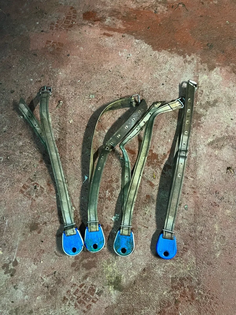 Delaval Alpro collars ( feed to yield) - Image 1