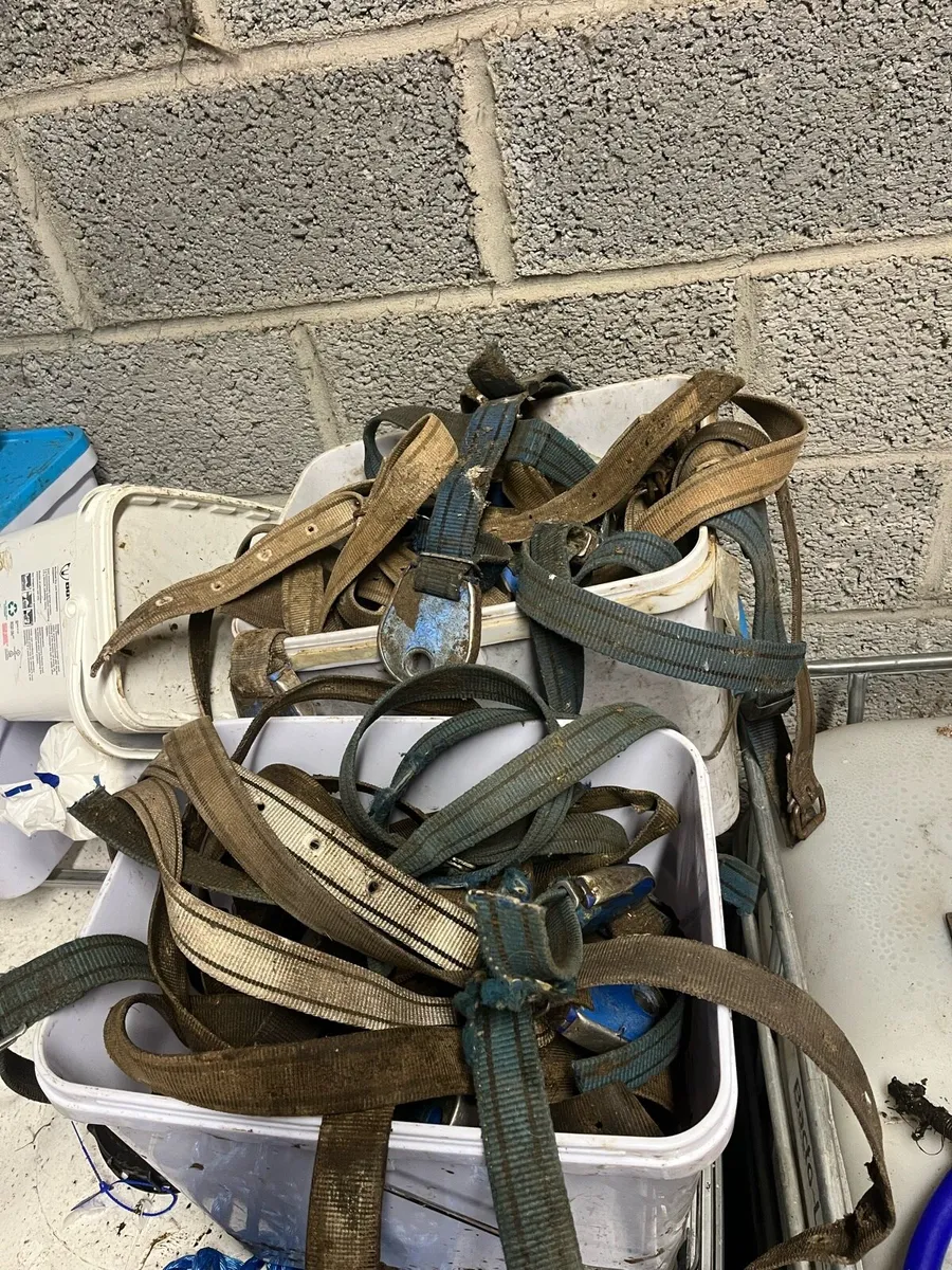 Delaval Alpro collars ( feed to yield) - Image 2