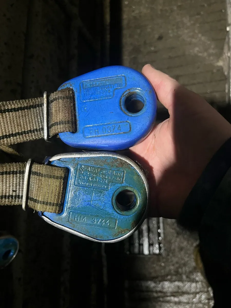 Delaval Alpro collars ( feed to yield) - Image 3