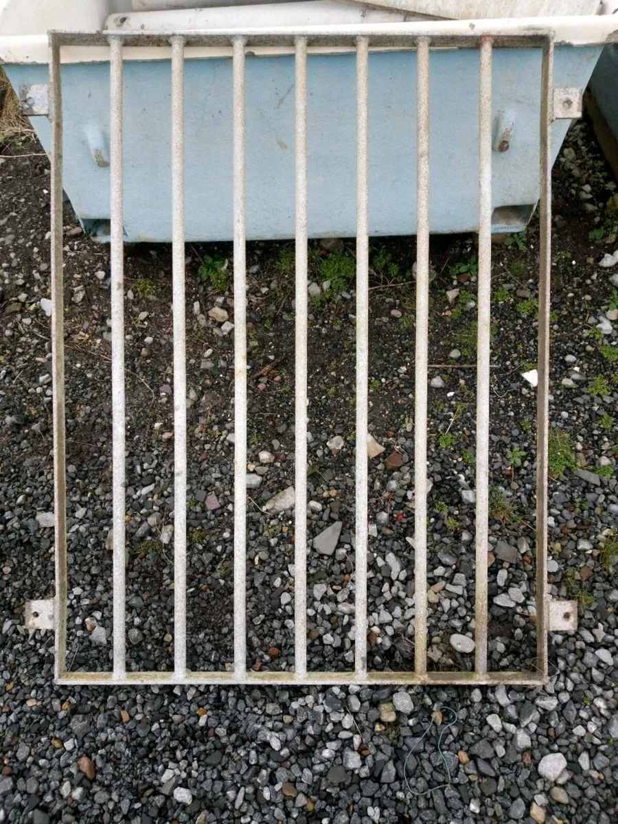 Window security guard