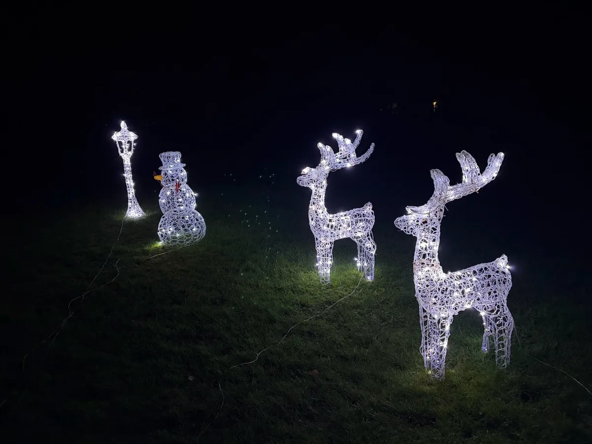 Outdoor Christmas Decorations - Image 1