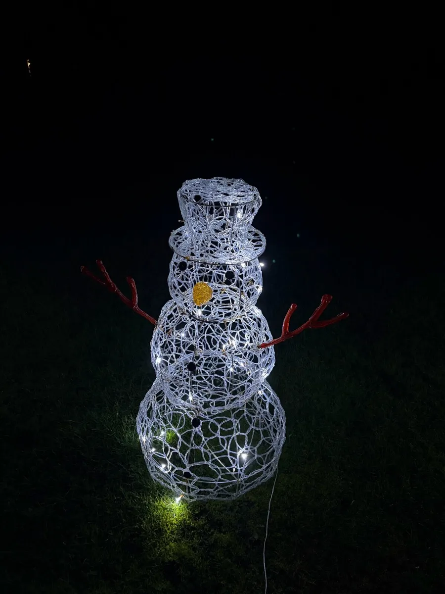 Outdoor Christmas Decorations - Image 2