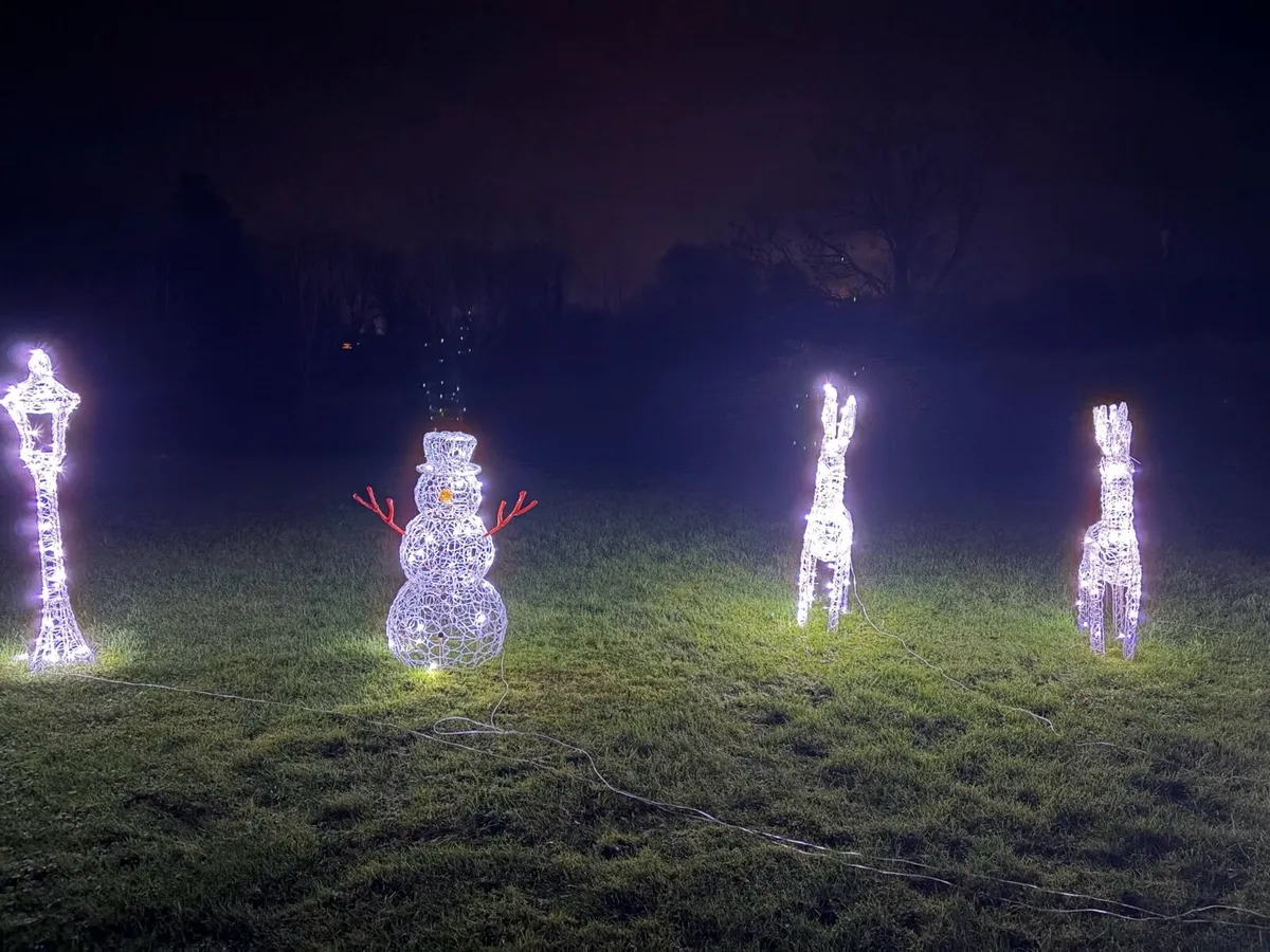 Outdoor Christmas Decorations - Image 3