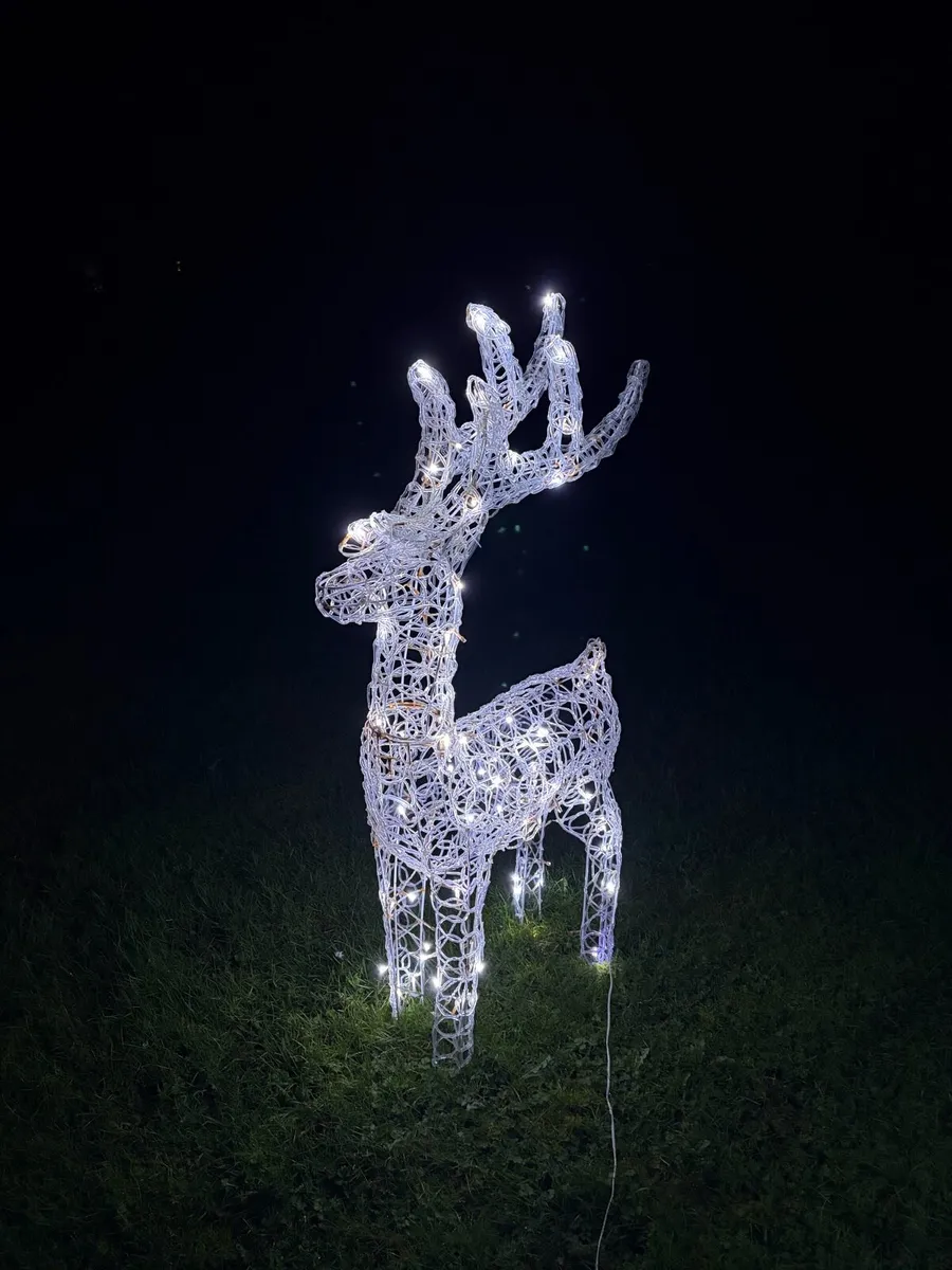 Outdoor Christmas Decorations - Image 4