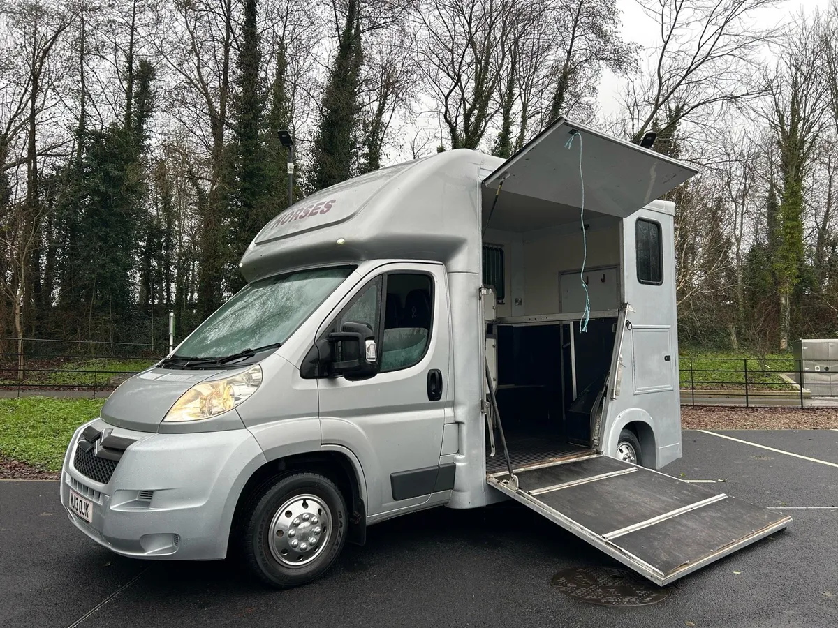 2013Horse Box NI Registered only €200 VRT - Image 1