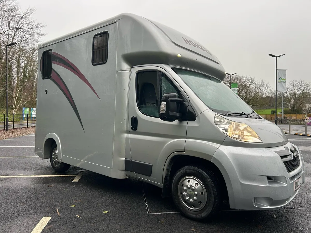 2013Horse Box NI Registered only €200 VRT - Image 2