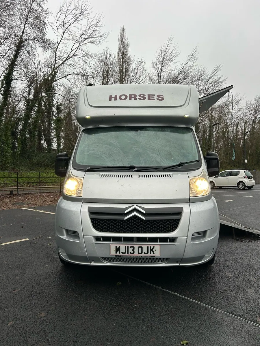 2013Horse Box NI Registered only €200 VRT - Image 3