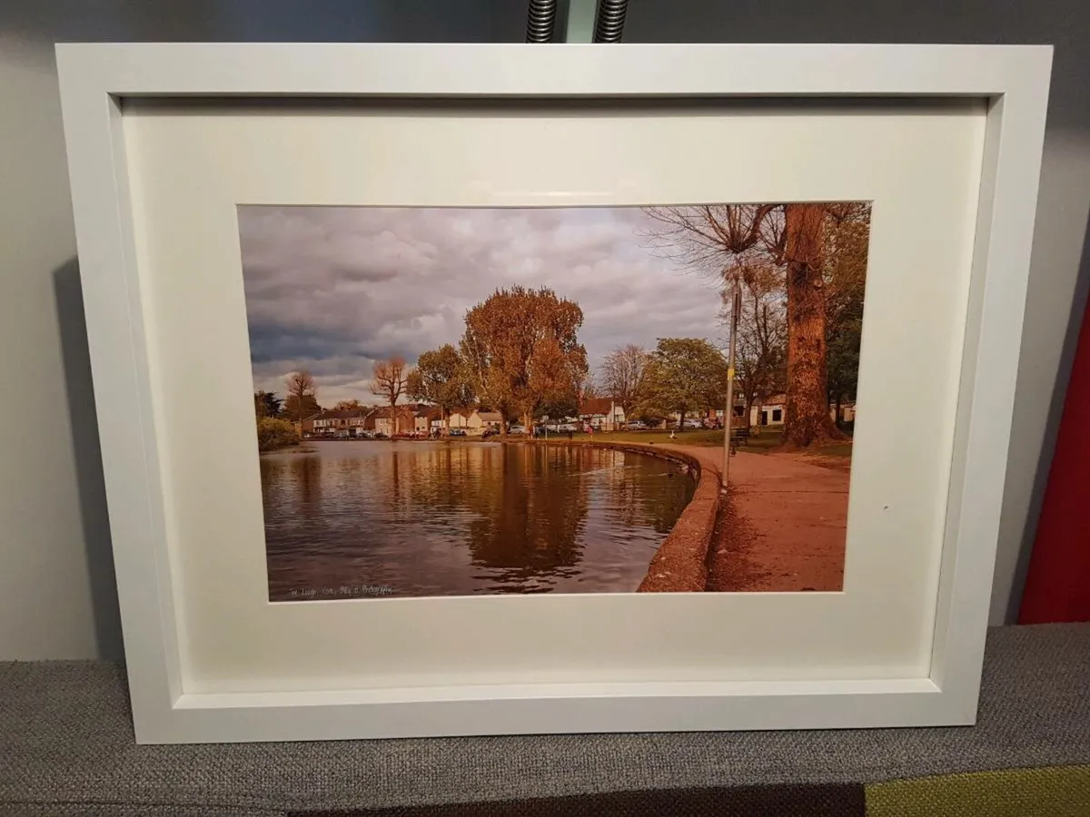 The Lough, Cork - Image 1