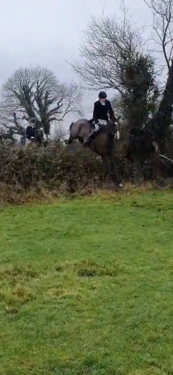 Super Hunter/Allrounder - Image 3